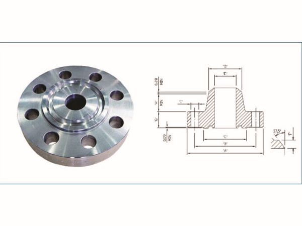 Ring Type Joint Flanges (RTJ)